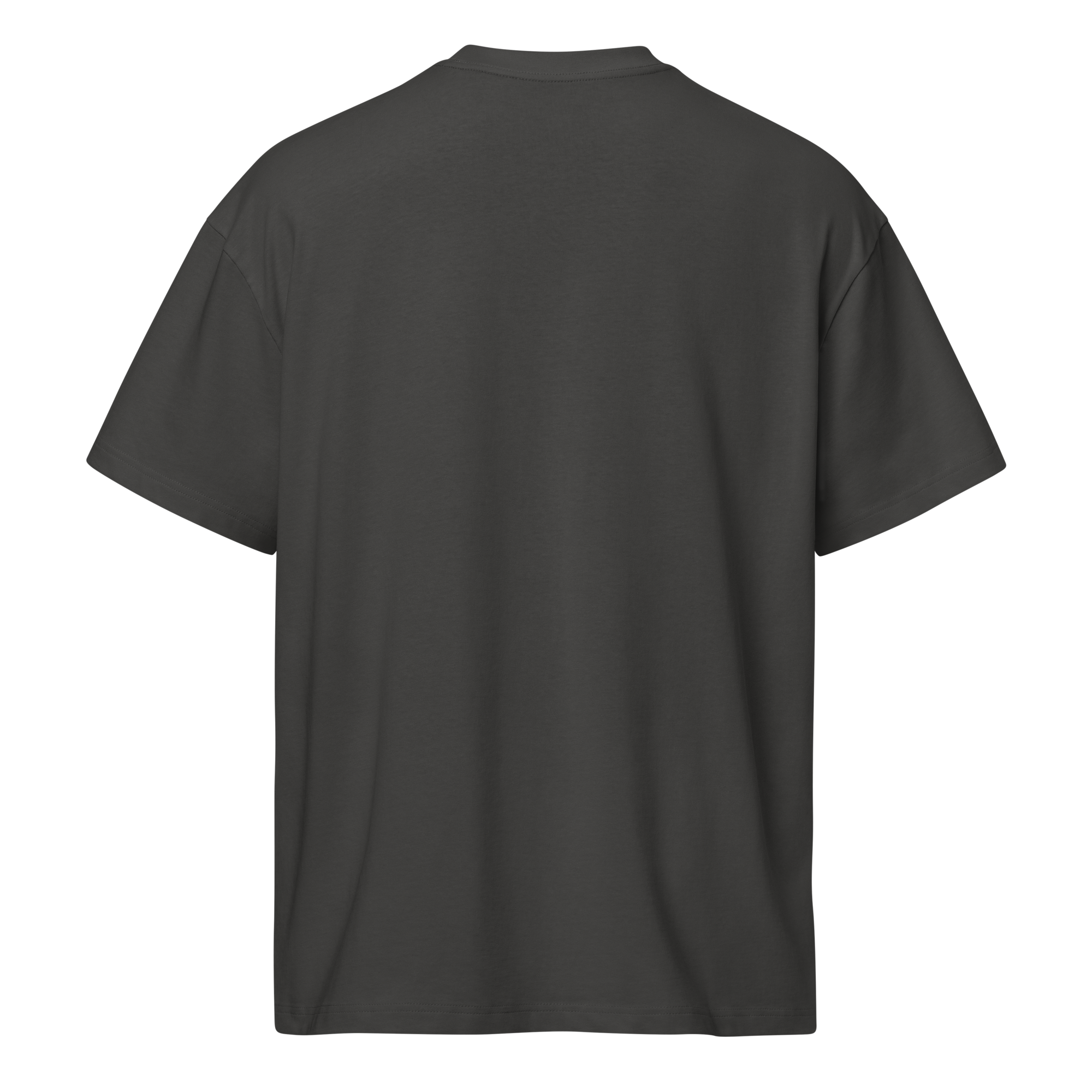 TSF i am the change box tee vintage black back