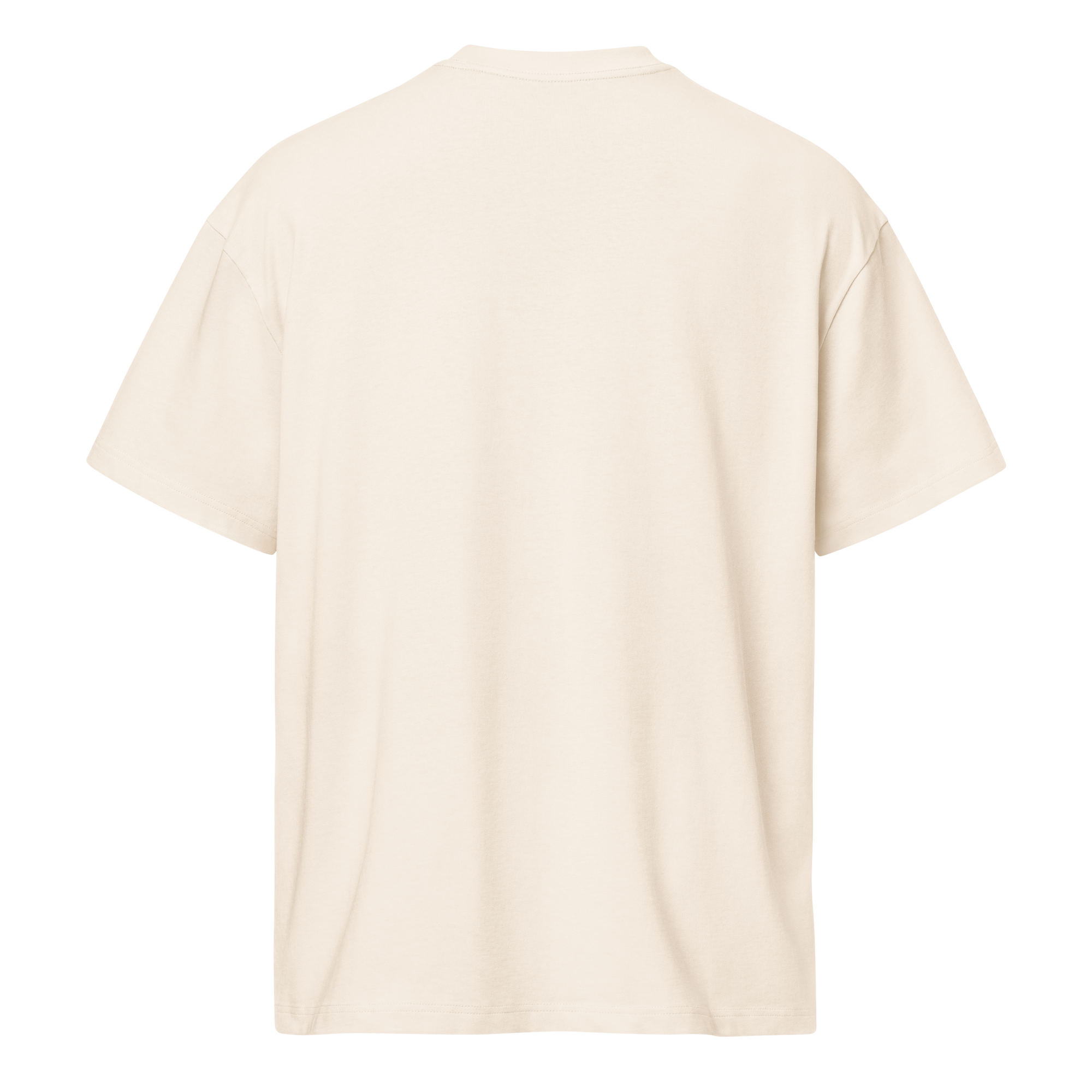 TSF i am the change box tee vintage white back