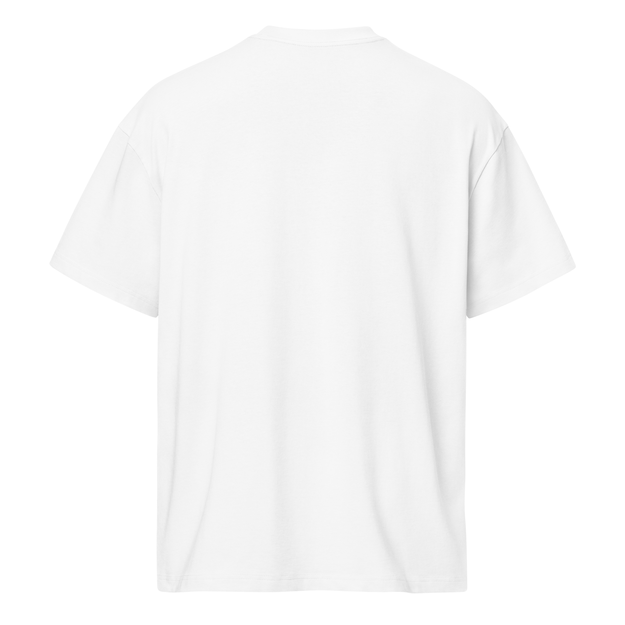 TSF i am the change box tee white back
