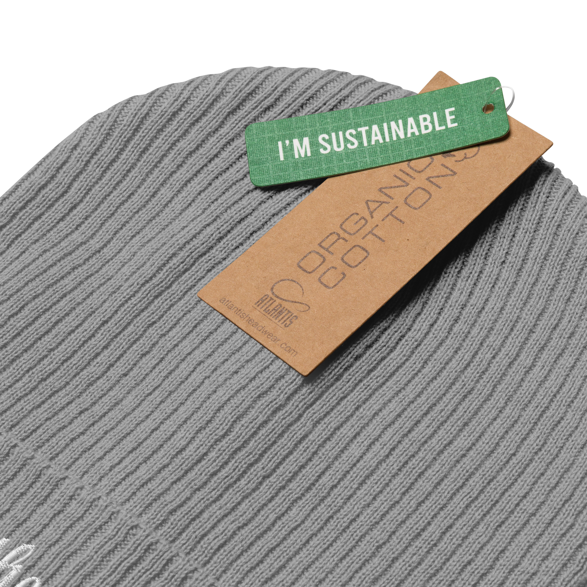 TSF organic cotton cap i am the change light grey sustainable