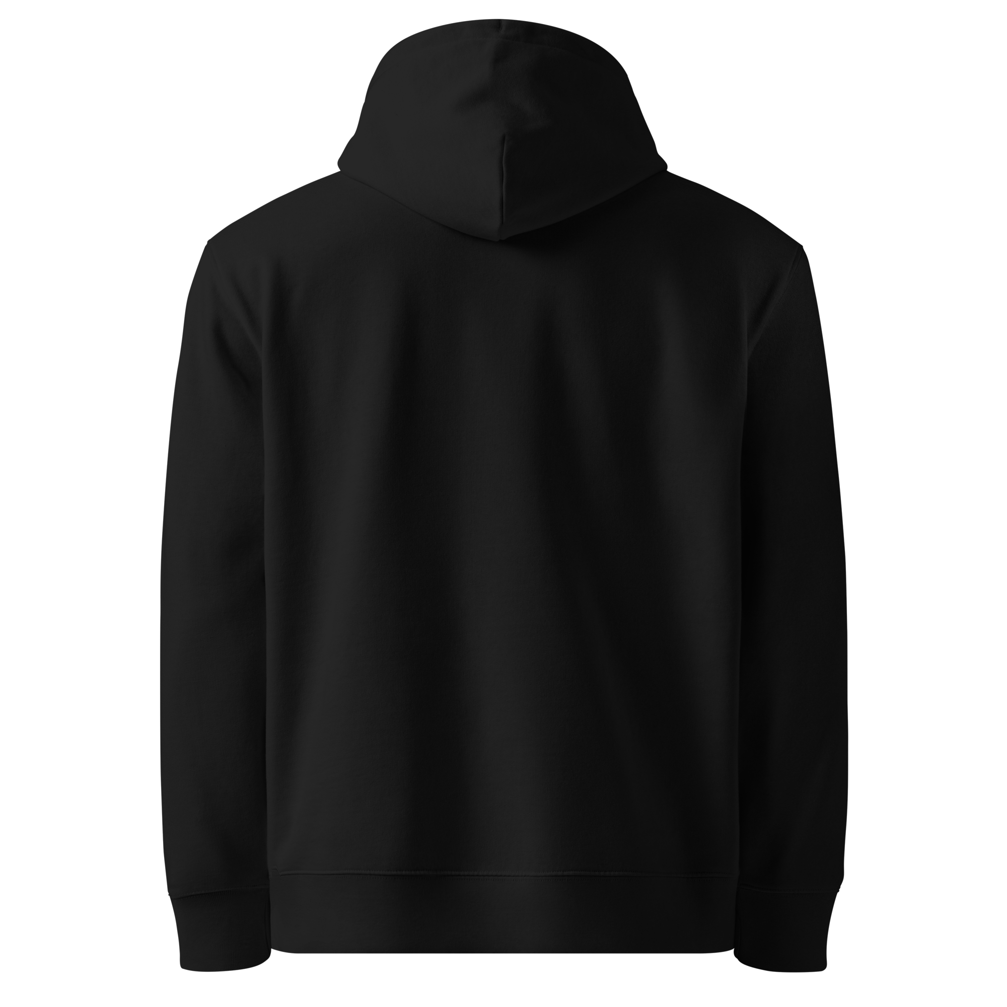 TSF organic cotton hoodie i am the change black back