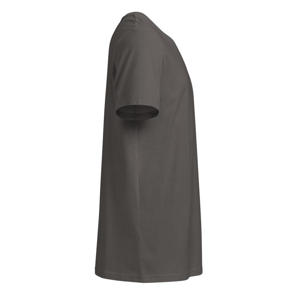 TSF original shirt anthracite side
