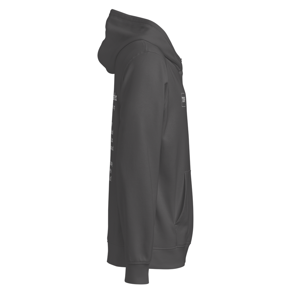 TSF Ueberlebenskuenstler Hoodie anthracite side