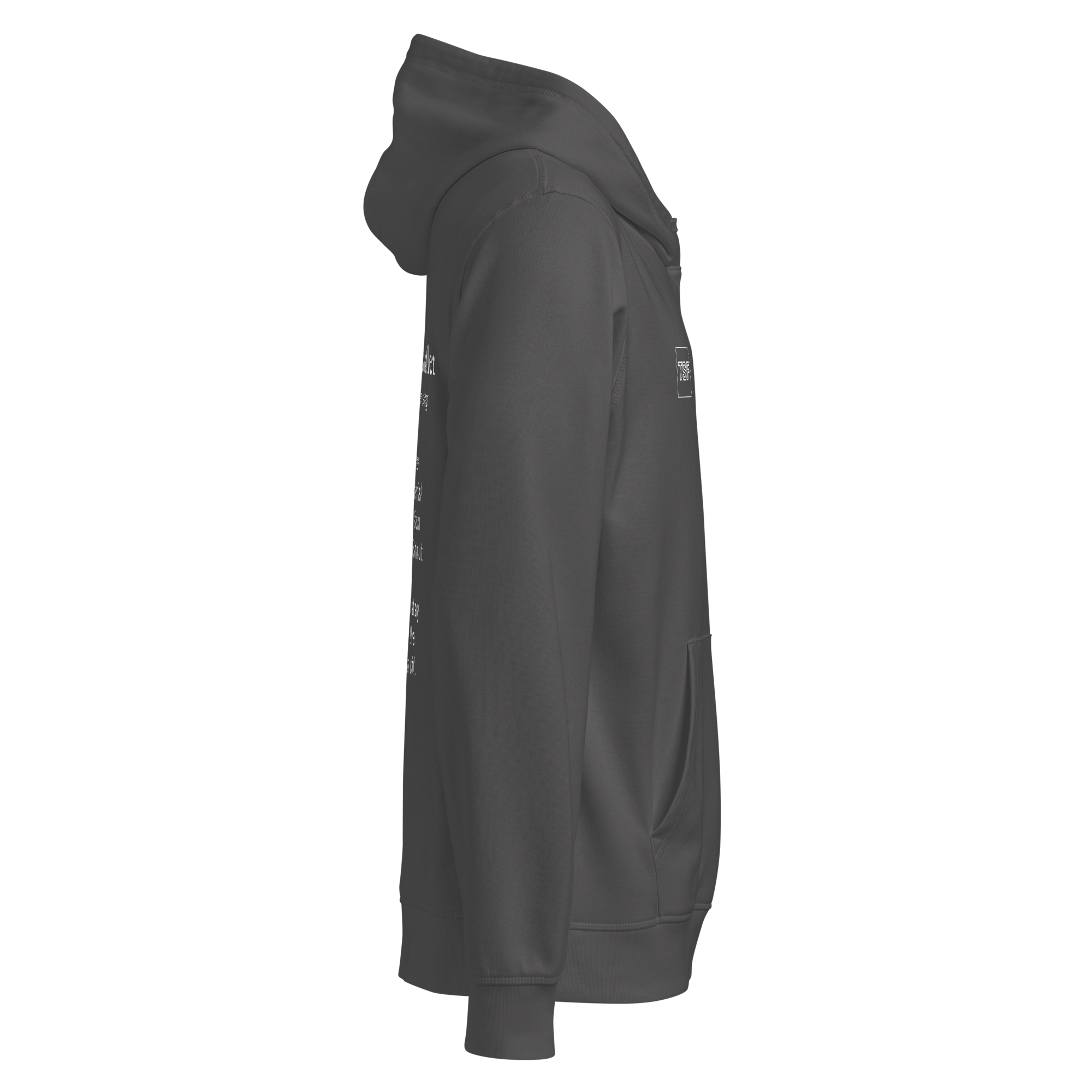 TSF Ueberlebenskuenstler Hoodie anthracite side