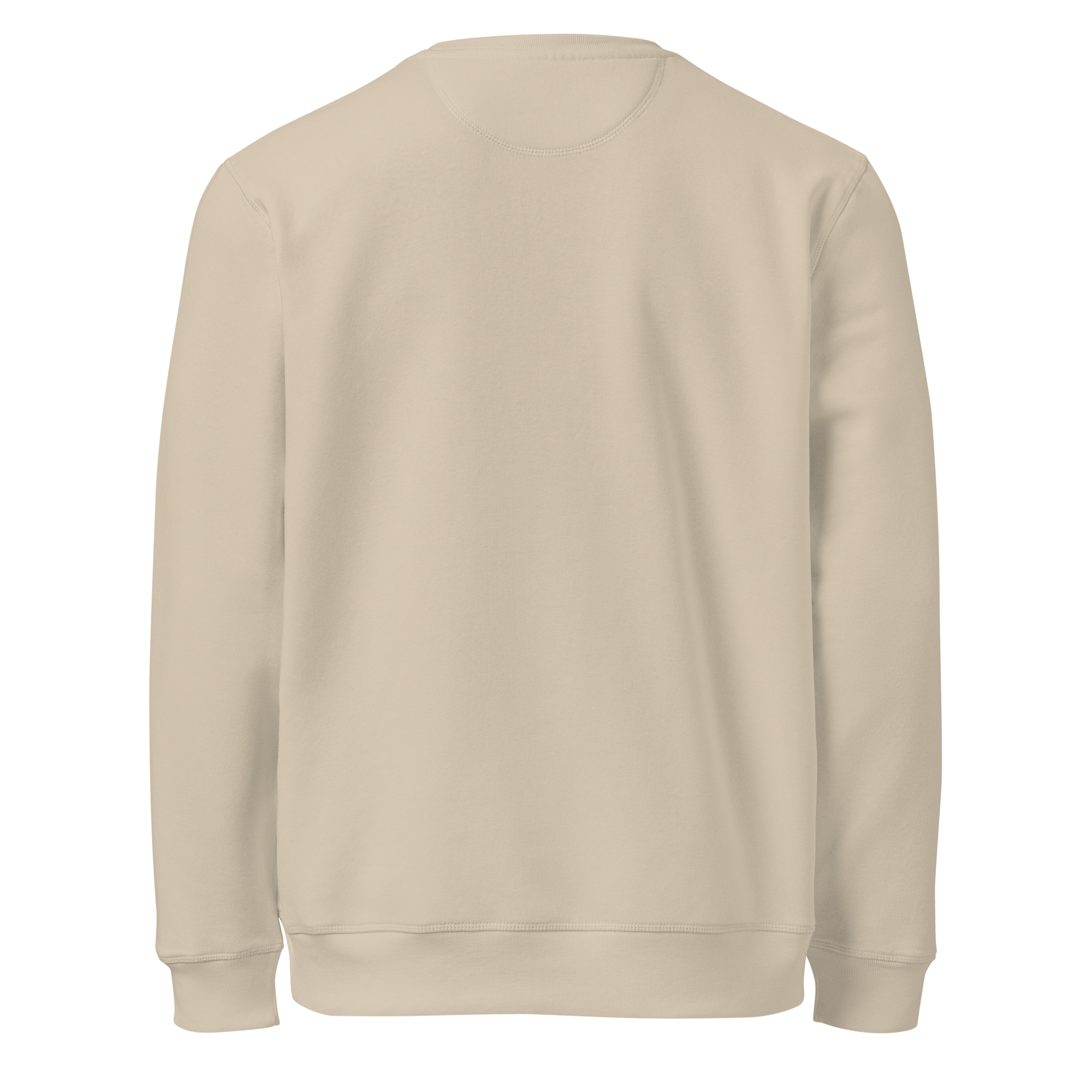 TSF original sweatshirt desert dust back