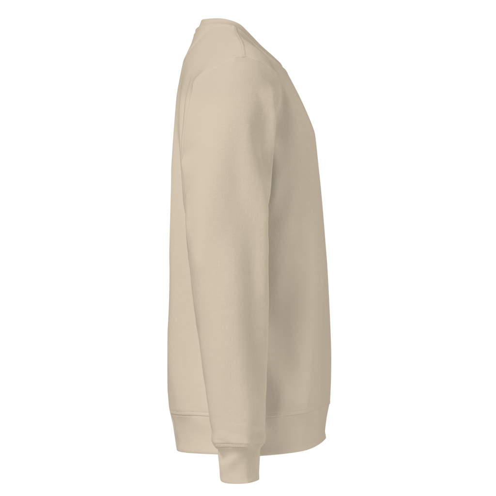 TSF original sweatshirt desert dust side